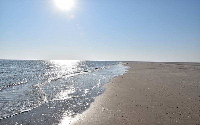 Amrum