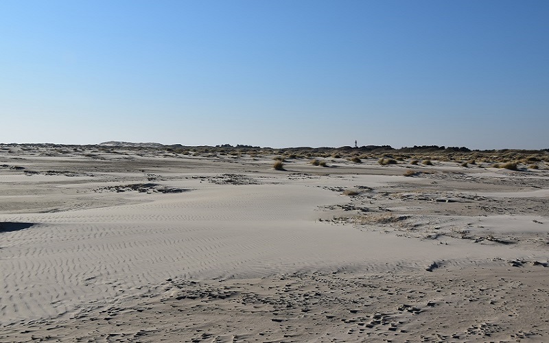Amrum