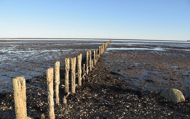 Amrum