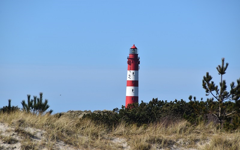 Amrum