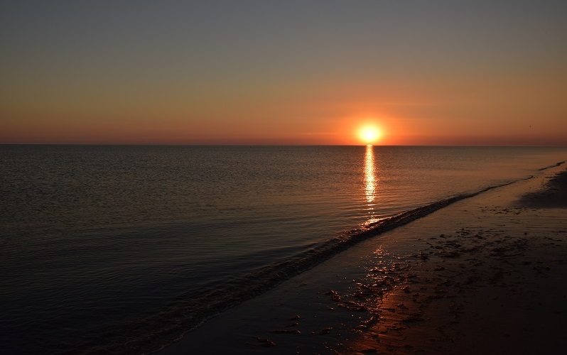 Amrum