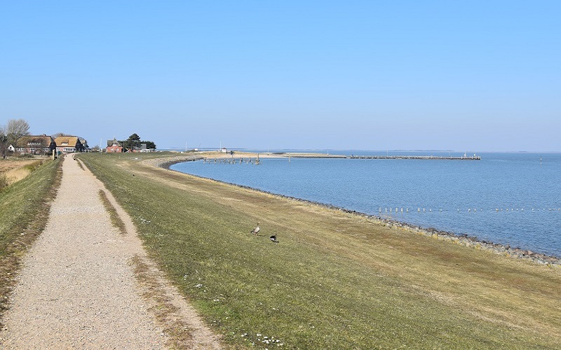 Amrum
