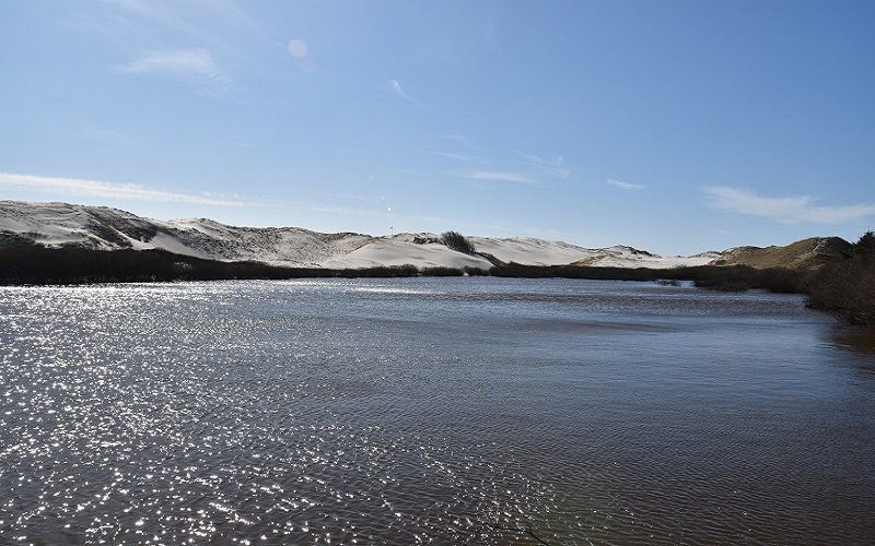 Amrum